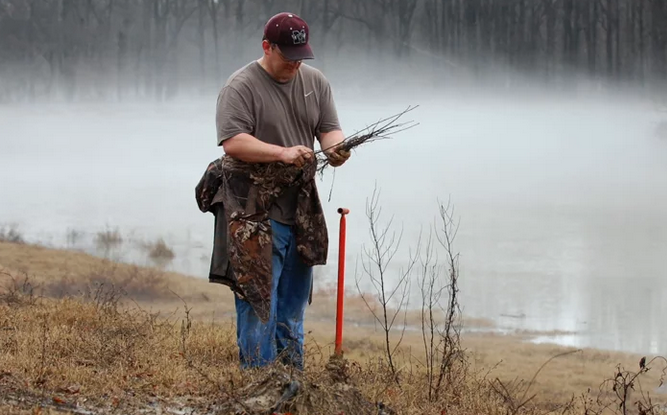 Putting Down Roots for the Future of the Cache River